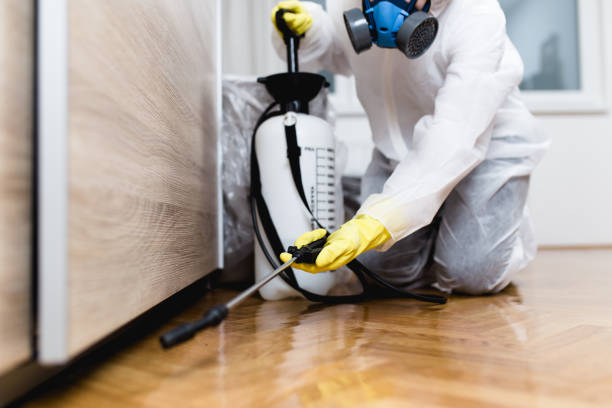 Best Ant Control Services  in Apalachin, NY