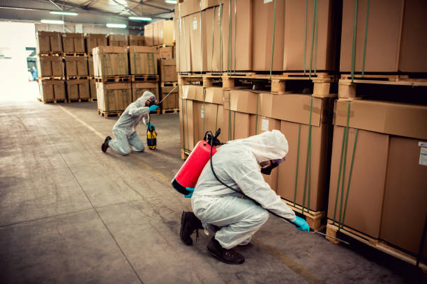 Best Ant Control Services  in Apalachin, NY