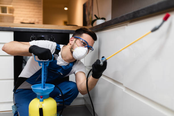 Best Best Pest Control Companies  in Apalachin, NY