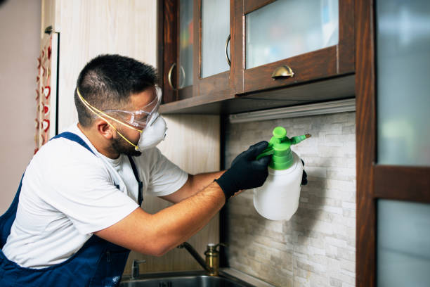 Best Best Pest Control Companies  in Apalachin, NY