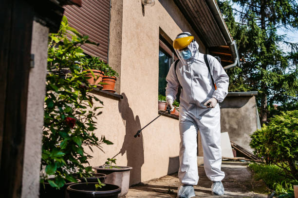 Best Wildlife Control Services  in Apalachin, NY
