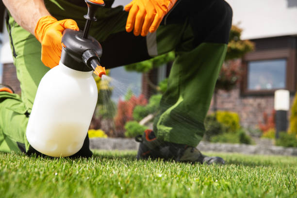 Best Pest Prevention Services  in Apalachin, NY