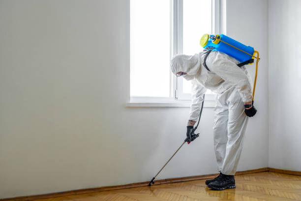 Best Wasp Removal Services  in Apalachin, NY