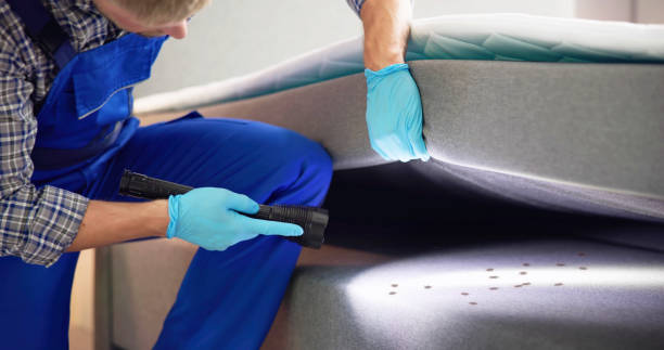 Best Exterminator Services  in Apalachin, NY