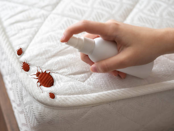 Best Pest Inspection Near Me  in Apalachin, NY