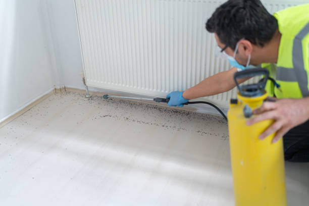 Trusted Apalachin, NY Pest Control Experts